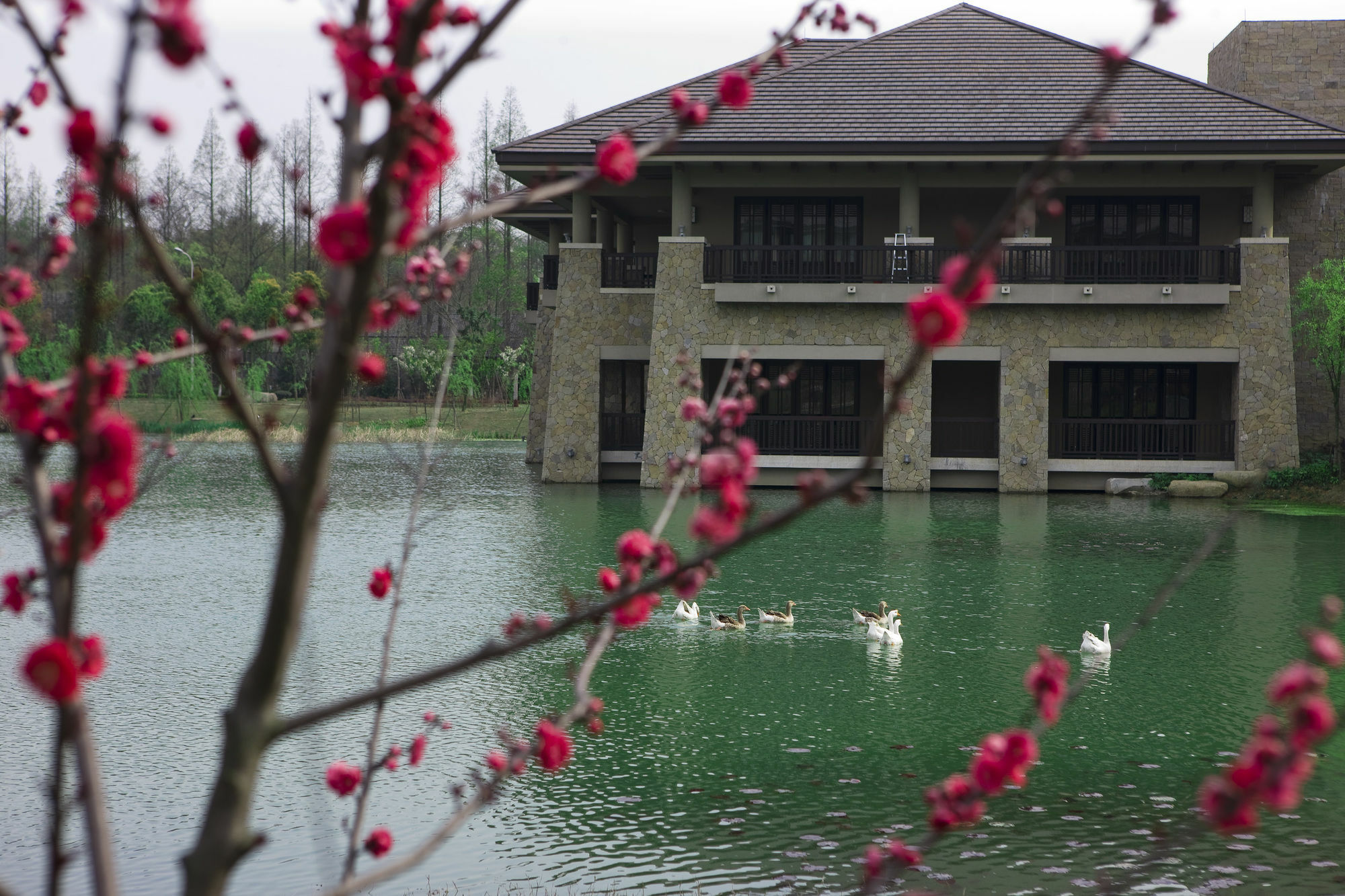 Narada Resort & Spa Liangzhu Hangzhou Esterno foto
